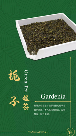 栀子绿茶