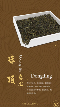 凍頂烏龍