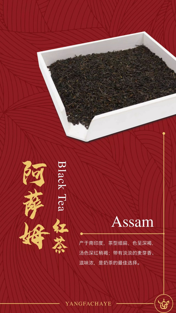阿薩姆紅茶