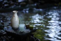 春歸系列