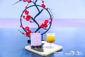 風(fēng)梨花落