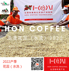 新产季花蕊咖啡生豆2022（咖啡生豆）