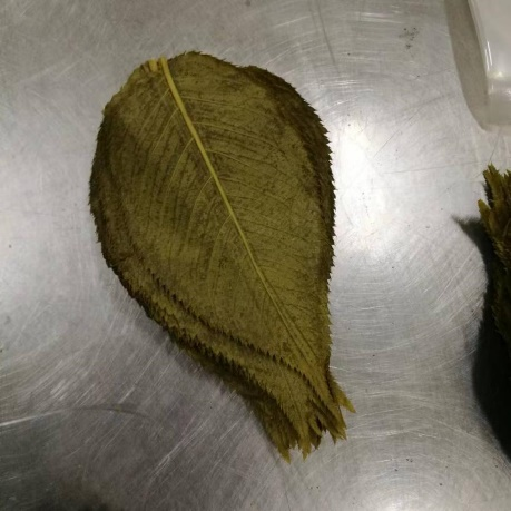 鹽漬櫻葉