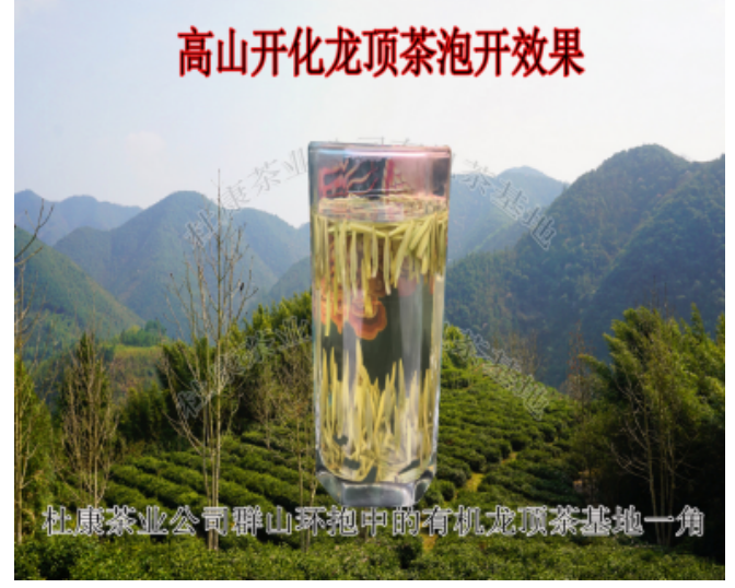 龍頂茶