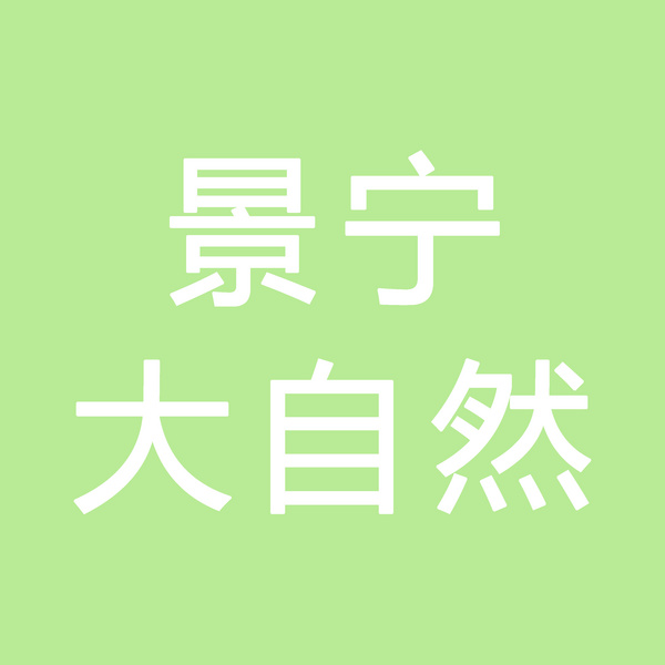 浙江景宁大自然食品有限公司