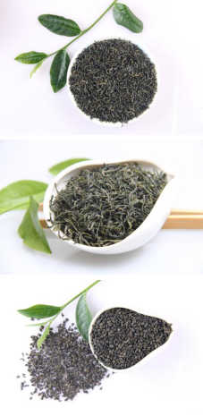 出口珠茶、眉茶