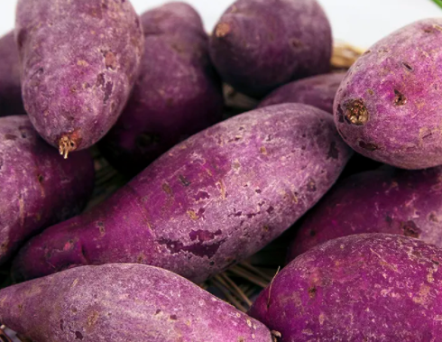 紫薯拿铁粉怎么制作饮品？