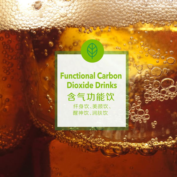 含气功能饮
