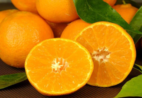 橙子水果茶为什么能够受到人们所欢迎呢？