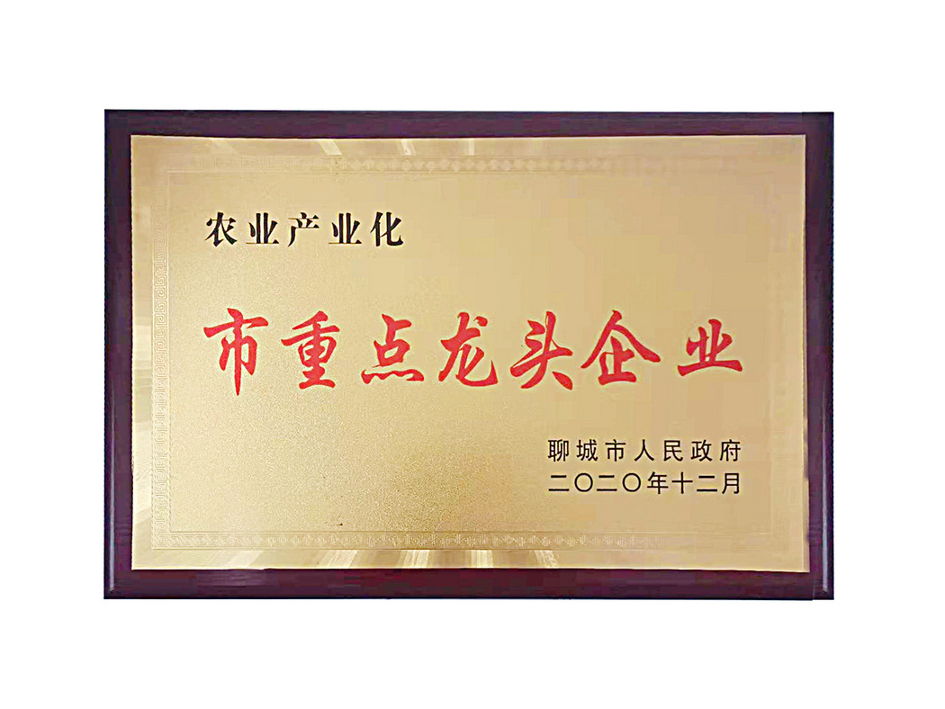 農(nóng)業(yè)產(chǎn)業(yè)化 市重點(diǎn)龍頭企業(yè)