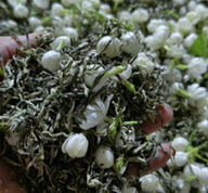 茉莉花茶濃縮液