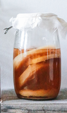 康普茶生物發(fā)酵液