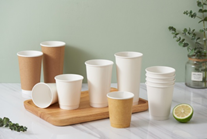 全生物降解PLA淋膜纸杯/纸碗