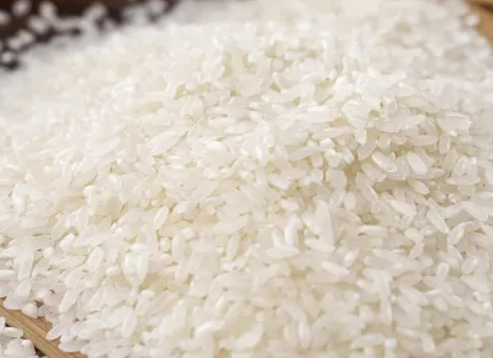 大米蛋白是否容易被人体吸收