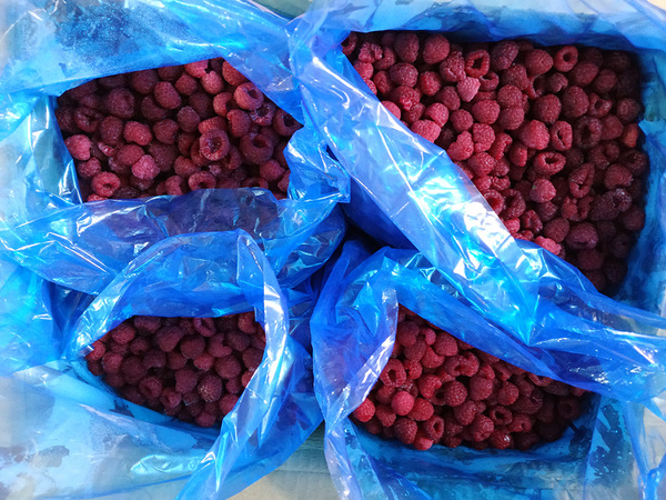 冷冻红树莓粒和树莓汁（冷冻果蔬）