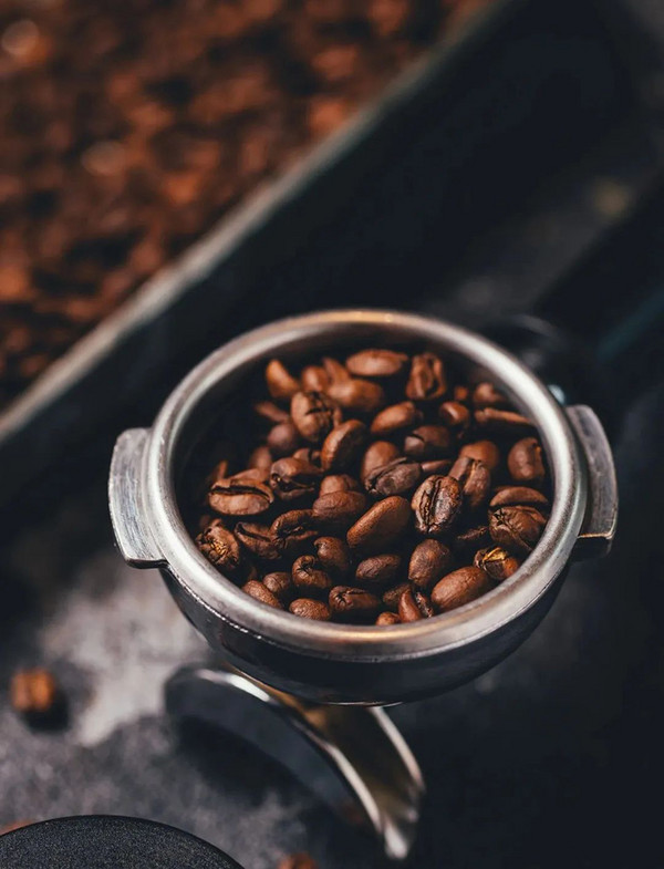 揭秘！2022世界咖啡烘焙大赛中国区选拔赛豆子信息全知道～