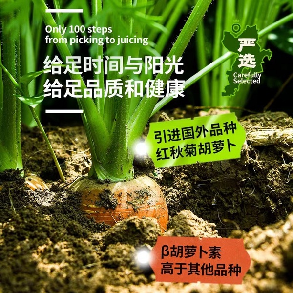 田野说 胡萝卜汁 1升