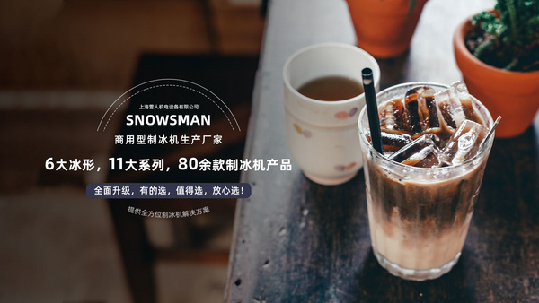 上海雪人机电设备有限公司