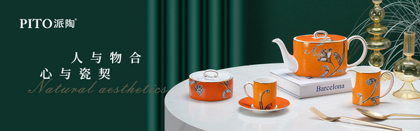 广东派陶科技有限公司