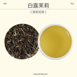 白露茉莉