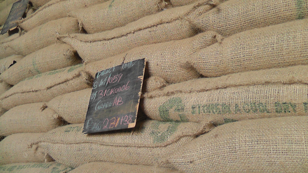 巴布亚 新几内亚 高地高甜AX 石光 咖啡生豆