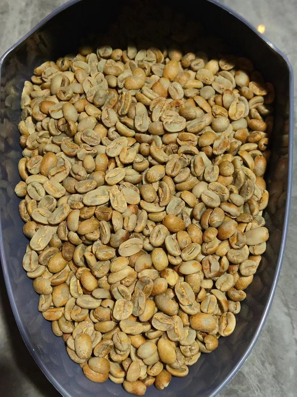 1 巴拿马波奎特路易斯庄园 日晒帕卡马拉BOP先锋 [ CAFE LUIS ]生豆