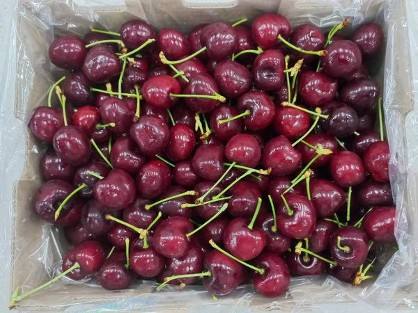 青岛七彩大地农产品有限公司