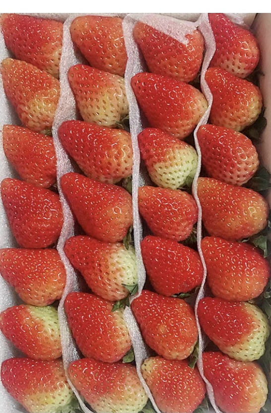 28颗双流草莓
