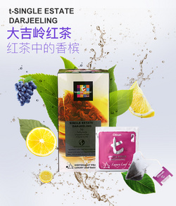 Dilmah T系列三角包50片裝 大吉嶺茶  