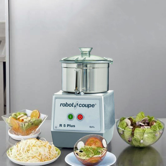 法国Robot-Coupe食品蔬菜处理机 R5 plus