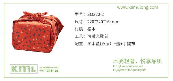  SM220-2