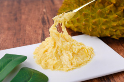 速凍榴蓮果泥系列