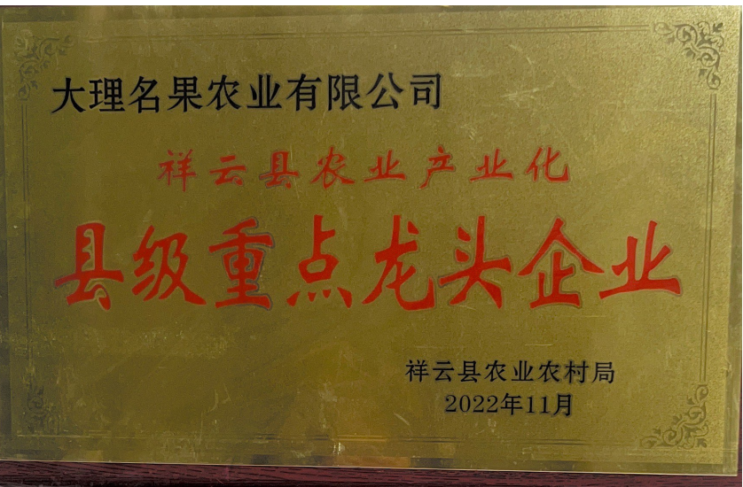 縣級(jí)龍頭企業(yè)證書