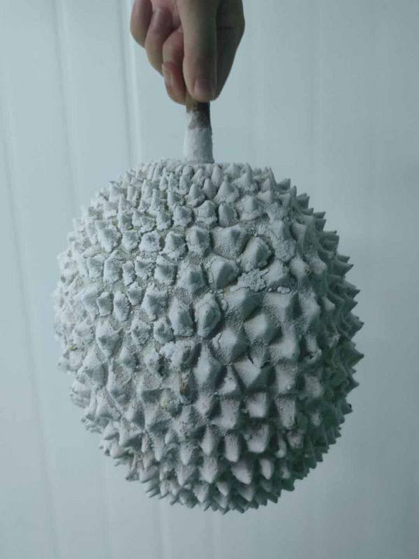 马来西亚液氮榴莲