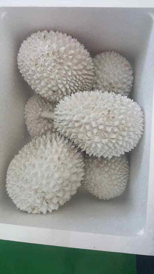 马来西亚液氮榴莲