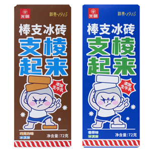 支棱冰磚
