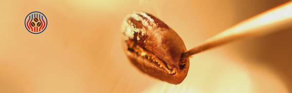 上海澳东物流有限公司