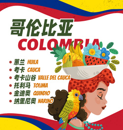 哥倫比亞咖啡生豆