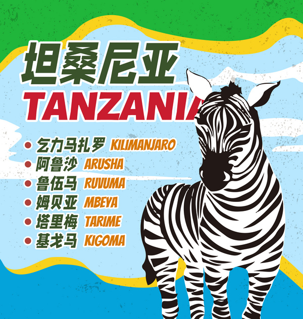 坦桑尼亚咖啡生豆