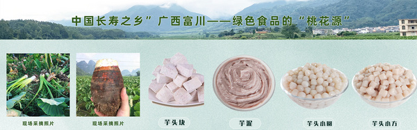 上海刘派国际贸易有限公司