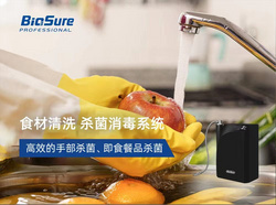 食材清洗 殺菌消毒系統(tǒng)