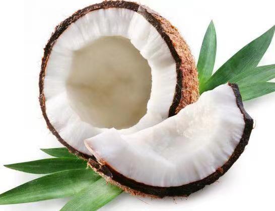 椰子肉