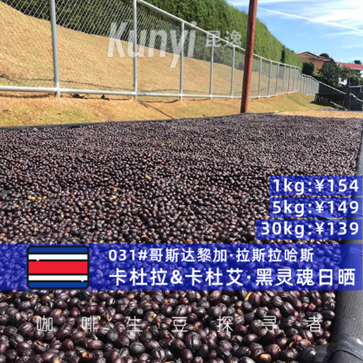 哥斯达黎加拉斯拉哈斯农场黑灵魂日晒