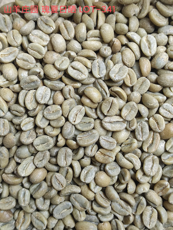 山羊庄园-瑰夏-日晒 LOT-341