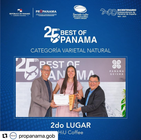 石墙庄园瑰夏经典日晒CAMA #3D