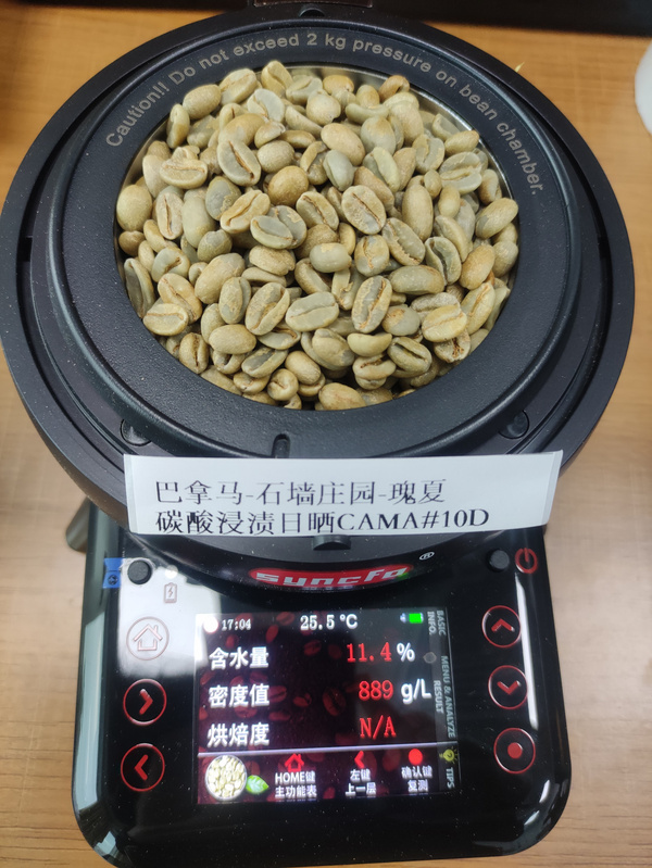 石墙庄园瑰夏碳酸浸渍日晒CAMA #10D