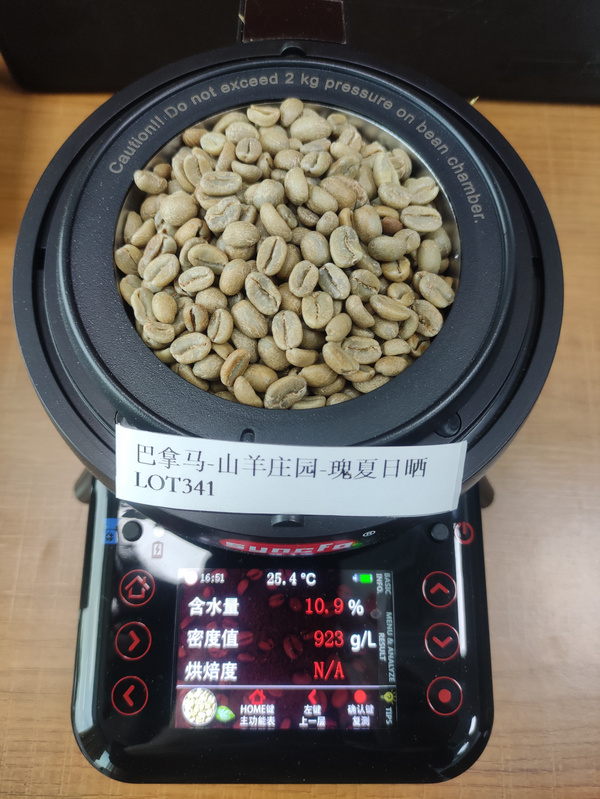 山羊庄园-瑰夏-日晒 LOT-341