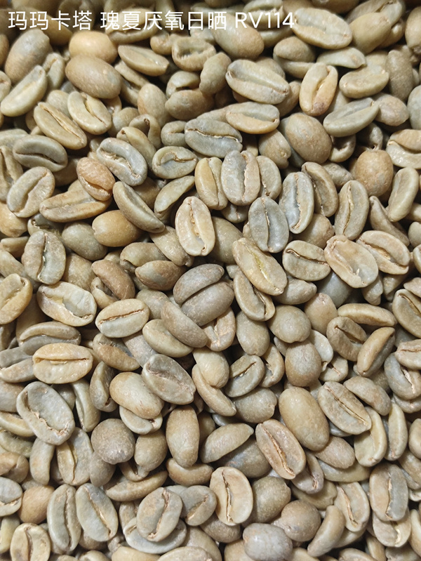 玛玛卡塔-瑰夏-ASD日晒-RV114