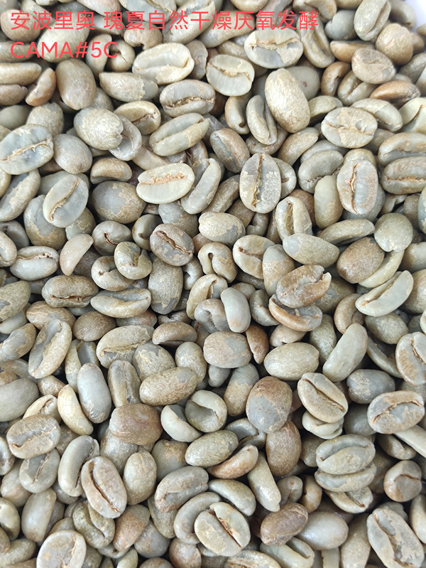 安波里奥瑰夏干厌氧发酵CAMA #5C