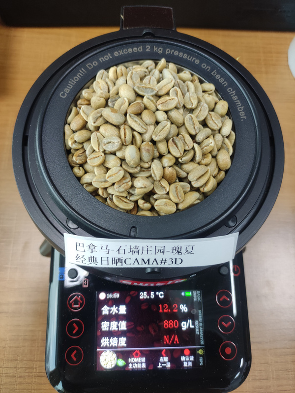 石墙庄园瑰夏经典日晒CAMA #3D